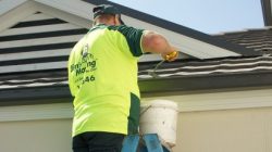 Pest Control Ballarat