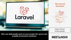 Hire Laravel Developer﻿