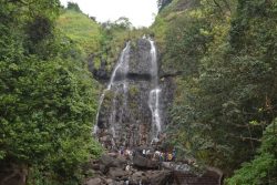 A Complete Amboli Tourist Guide