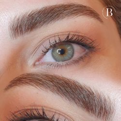 Brow TREATMENTS