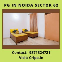 Girls PG near Sector 62 Noida