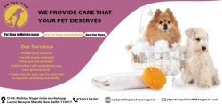 Pet Shop in Malviya Nagar | Best Shop in South Delhi | Best Pet Store