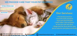 Pet Shop in Malviya Nagar | Best Shop in South Delhi | Best Pet Store