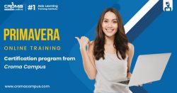 Primavera Online Certification in Qatar