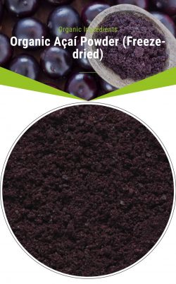 Natural Organic Acai Powder In Netherlands