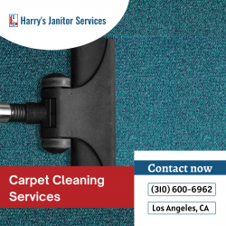 Professional Cleaning Service