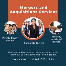 Professional Mergers and Acquisitions Services Provider