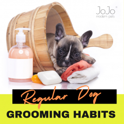 Wholesale Pet Supplies – Good Grooming Habits