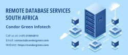 Remote Database Services South Africa