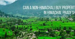 Commercial property in Chandigarh – Estate Drive