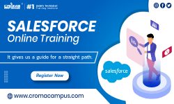 How To Pass Salesforce Developer Certification Exam?