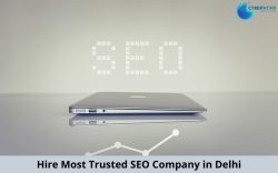 Best SEO Company in Delhi