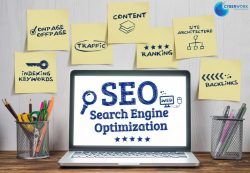 SEO Services Company in Delhi