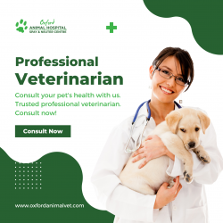 Spay And Neuter Clinic Edmonton