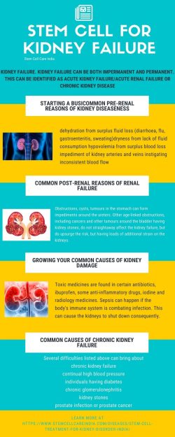 Stem Cell For Kidney Failure