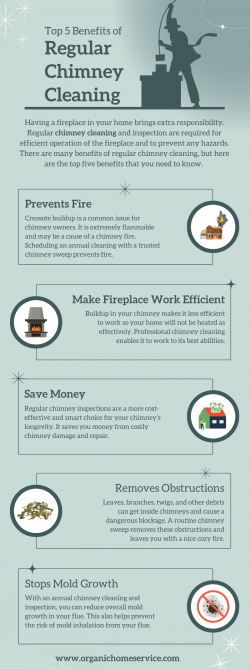 Top 5 Benefits of Regular Chimney Cleaning