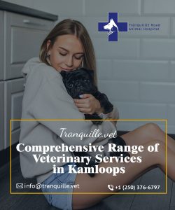 We are an established full-service Cat Hospital Kamloops