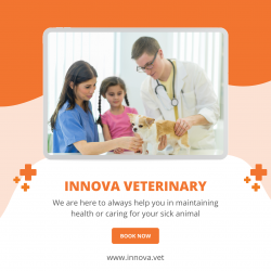 Veterinary Software