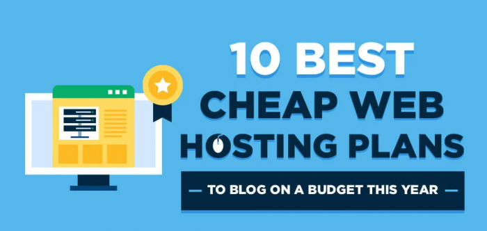 Web Hosting Plans & Pricing