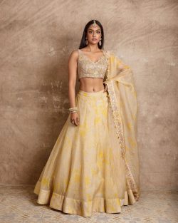 Buy Lehenga Choli Online