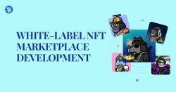 White Label NFT Marketplace Development Company