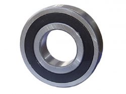 Electric Motor Bearing