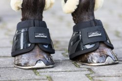 Pferdestallstiefel online kaufen