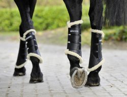 Pferdetransportstiefel online kaufen