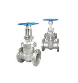 Gate Valve