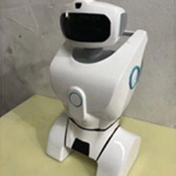 Rapid Prototyping in Robotic & Automation Industry