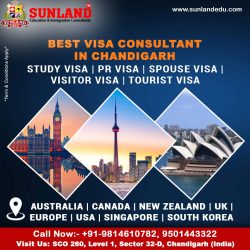 Best Immigration Consultants Chandigarh