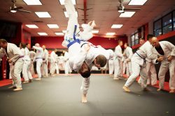 Bjj Training Columbus Ohio — Carlson Gracie Columbus