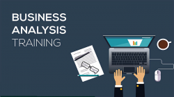 How do you become a Professional Business Analyst?