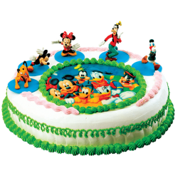 Birthday Cartoon Cakes Online