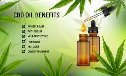 CBD Oil Benefits