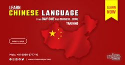 Chinese Language online Training in India