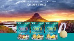 Icelandic Skyr Crunch Snacks