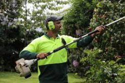 lawn mowing Travancore