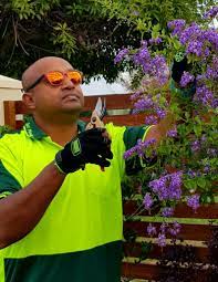 lawn mowing Keilor Lodge