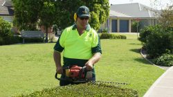 Lawn mowing Aspendale