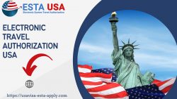 Electronic System for Travel Authorization