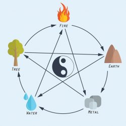 Fundamentals Of Feng Shui