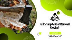 Hire Expert Stump Grinding in Lake Charles