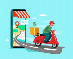 Hyperlocal Delivery Logistics