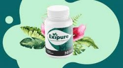 Exipure:-Is There Better Alternative?