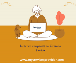 Internet companies in Orlando Florida