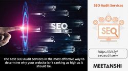 SEO Audit Services﻿