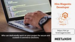 Hire Magento Developer﻿