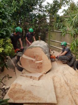 Tree Removal Tonbridge