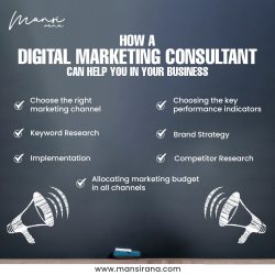 Role of Digital Marketing Consultant in Growing Your Business.